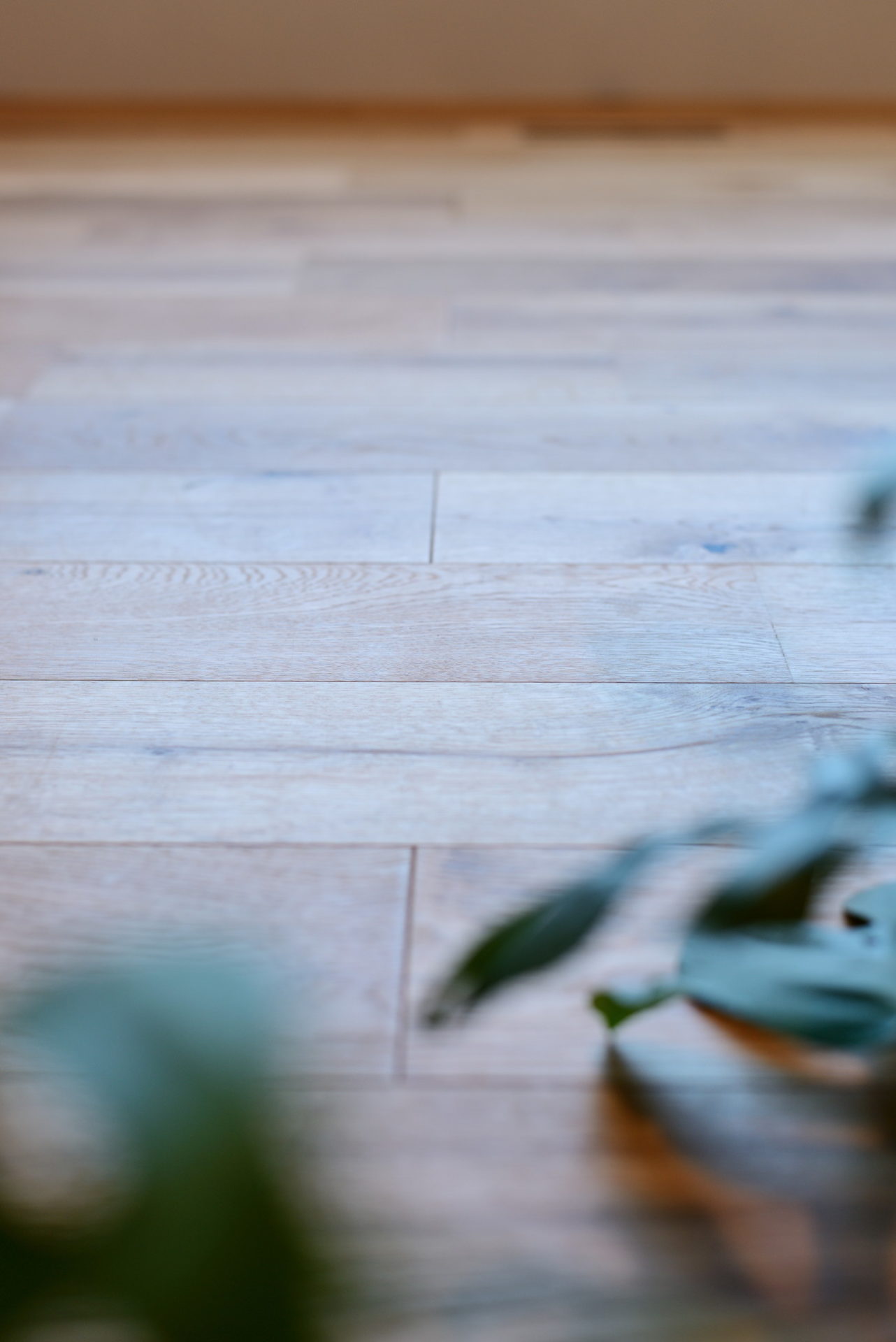 東近江市 モデルハウス