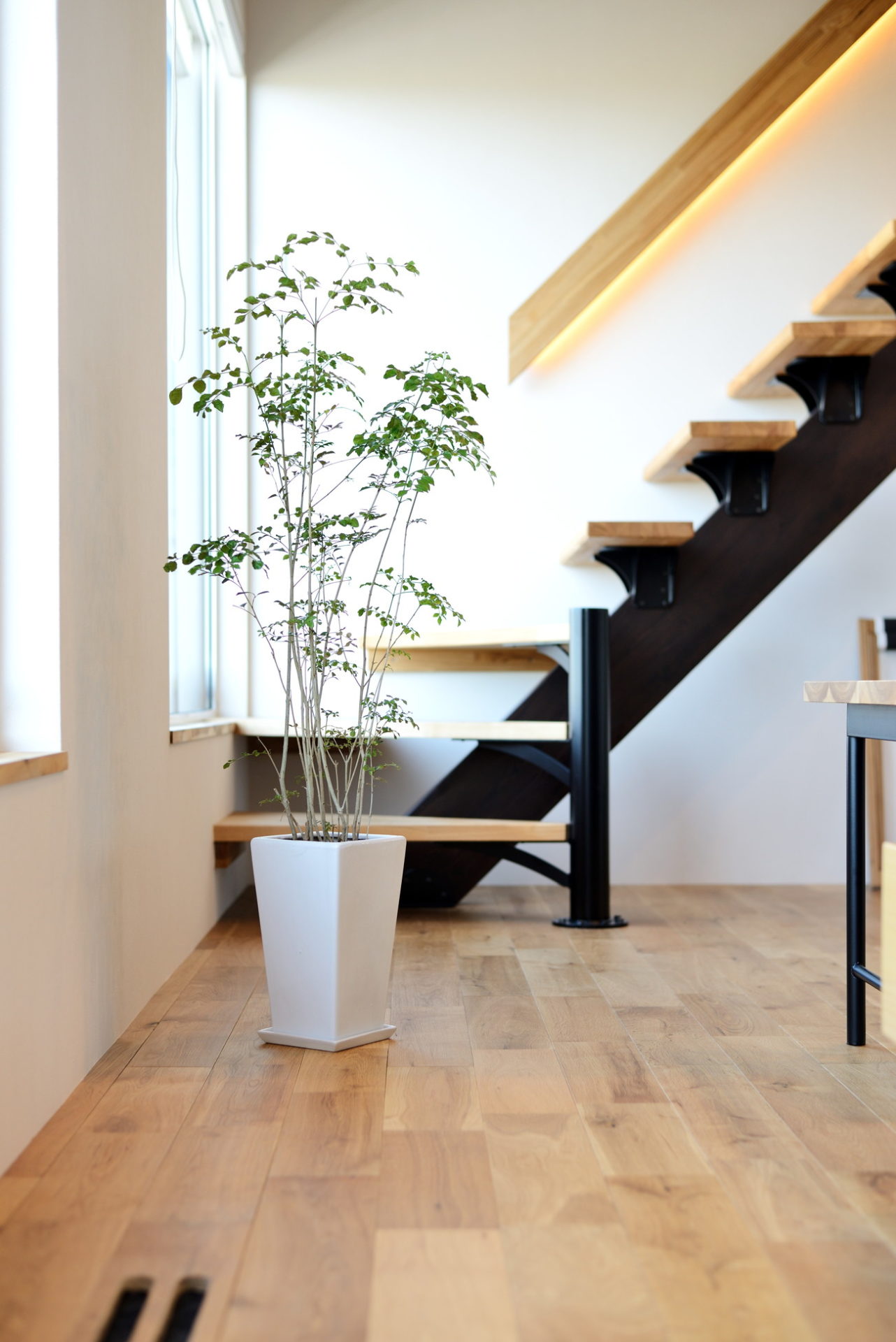 東近江市 モデルハウス