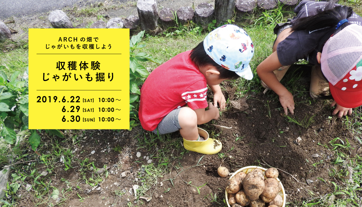 【収穫体験】じゃがいも掘り 【収穫体験】じゃがいも掘り