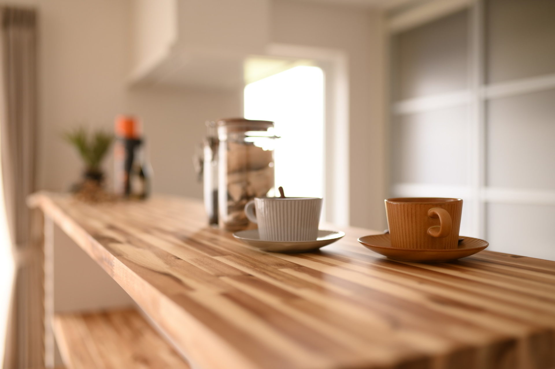 滋賀県彦根市 平田の家