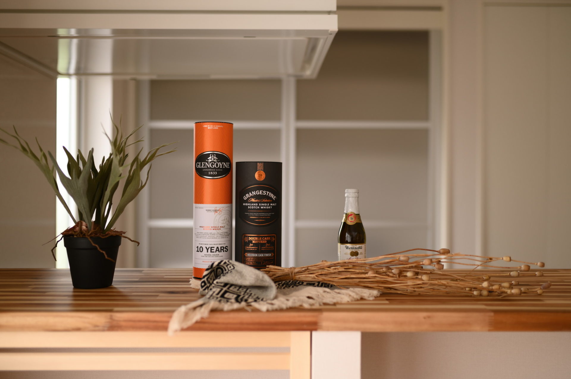 滋賀県彦根市 平田の家