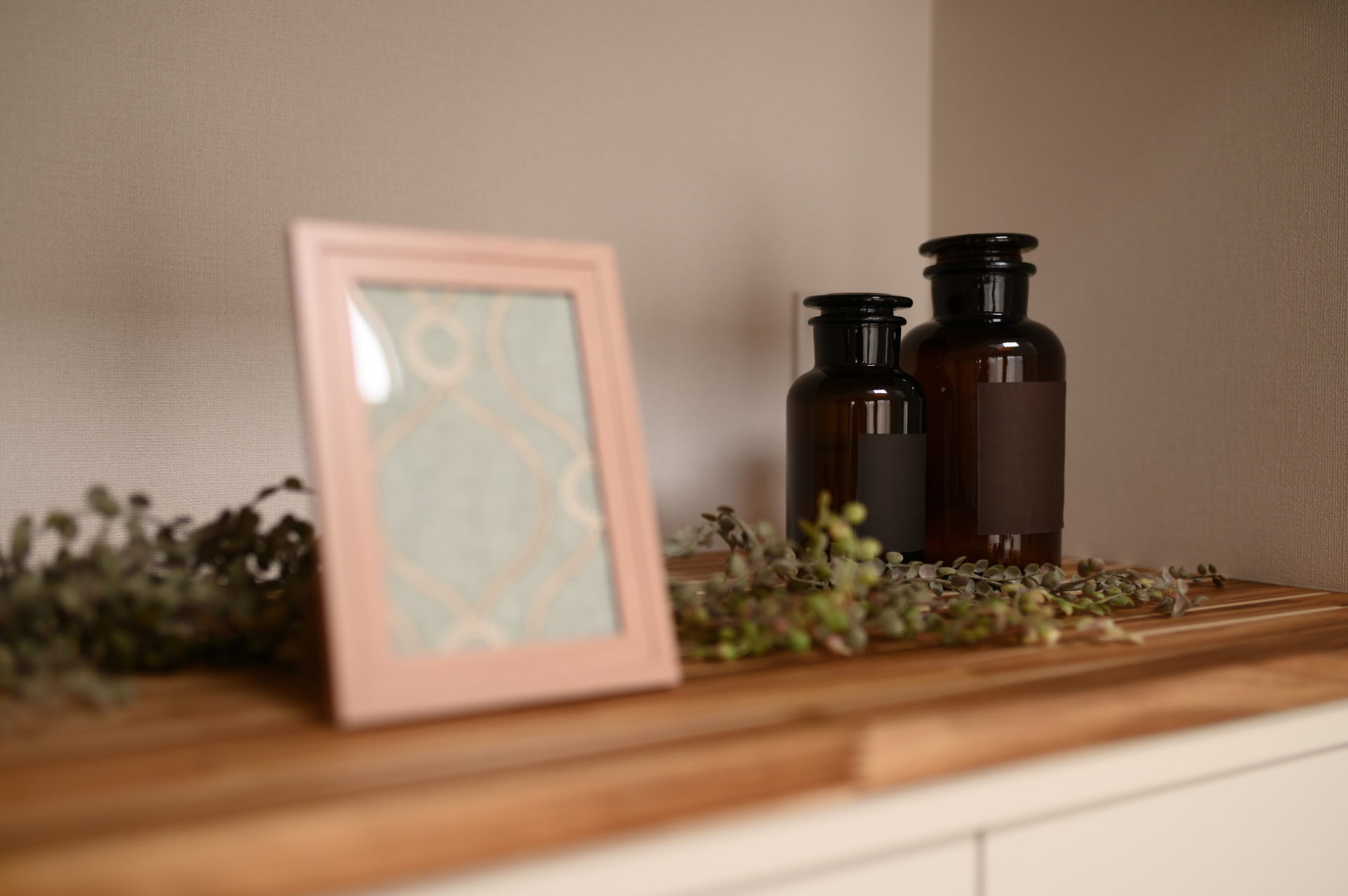 滋賀県彦根市 平田の家