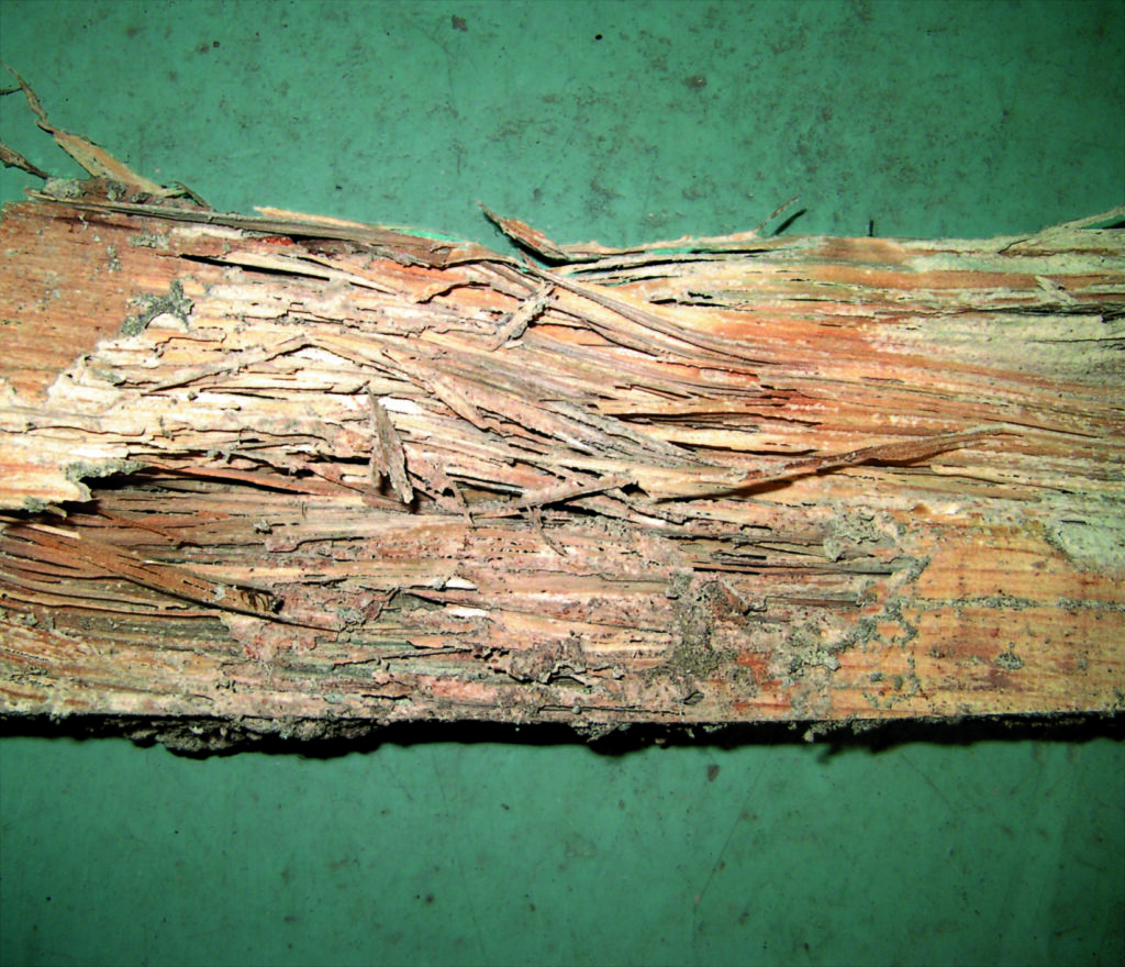 腐朽的木头纹路图片素材-编号36861542-图行天下