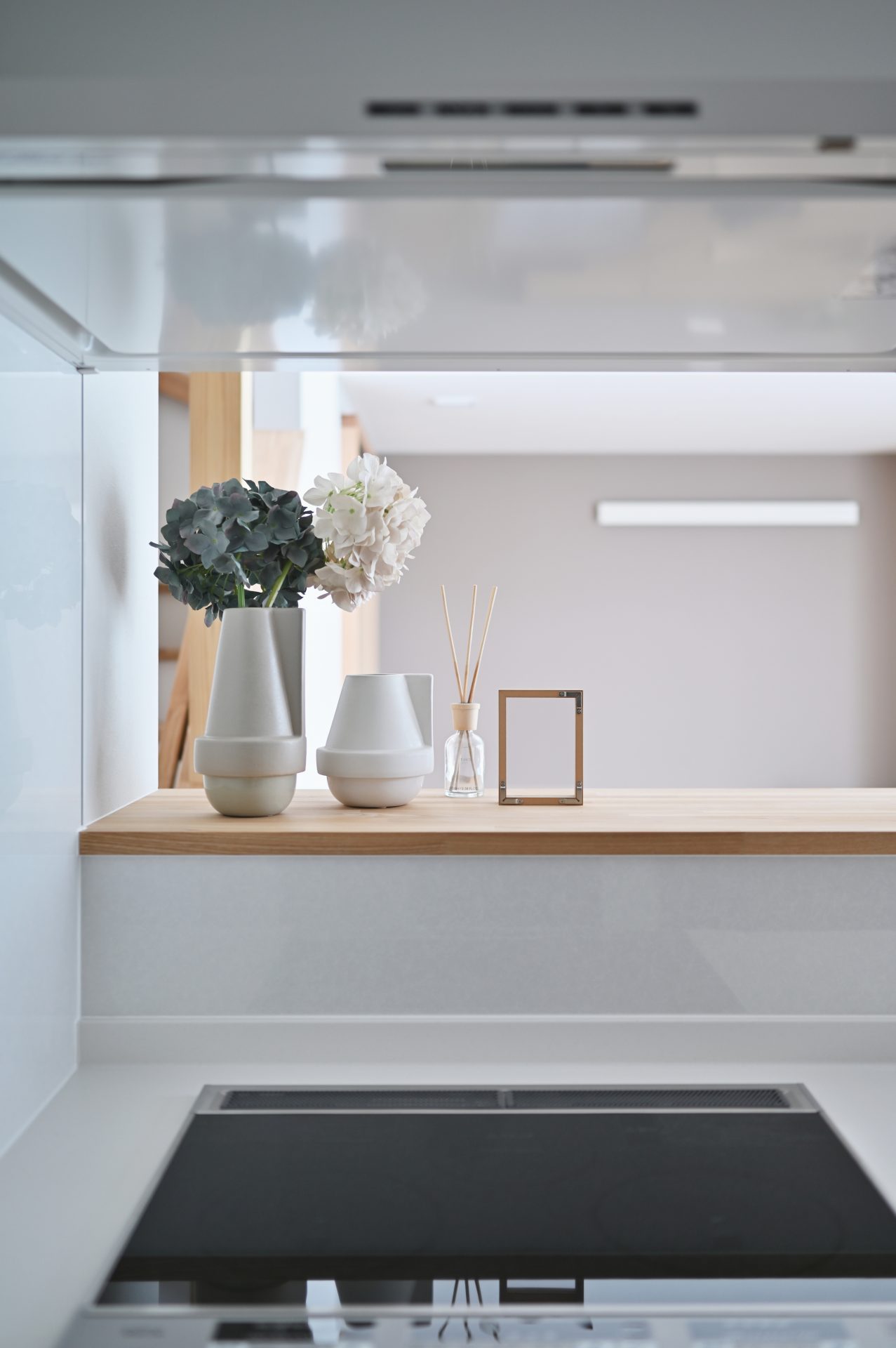 滋賀県彦根市 正法寺の家