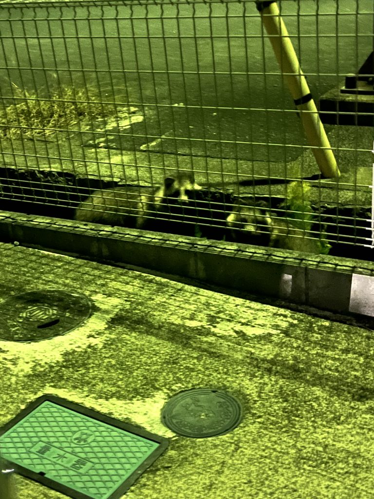  【連載①】「店舗併用住宅」とは？メリット・デメリット・向いている人を解説